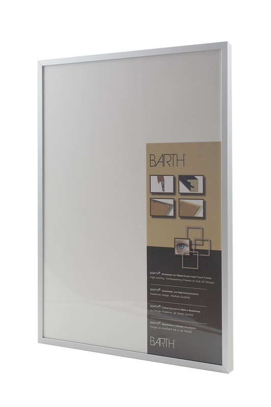 Barth Frame Silver with 4P Hanging System - Best4Frames