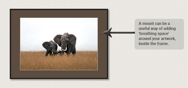 Elephant picture inside sepia picture mount inside a frame