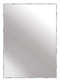 Nielsen Alpha Wall Mirror Silver 50x70cm main 2